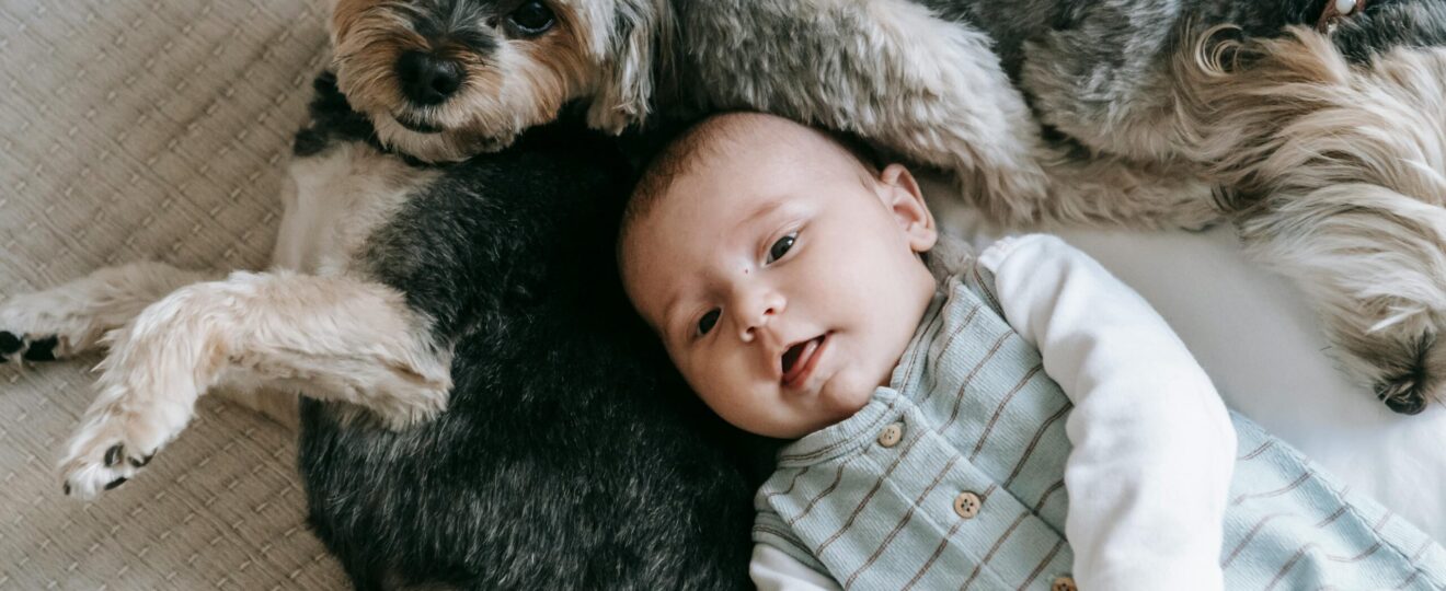 Die Vorteile eines Haustieres für die Entwicklung eines Babys